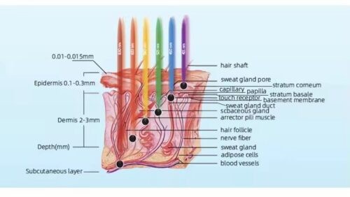 BIOLIGHT PDT 6 en 1 - Imagen 9
